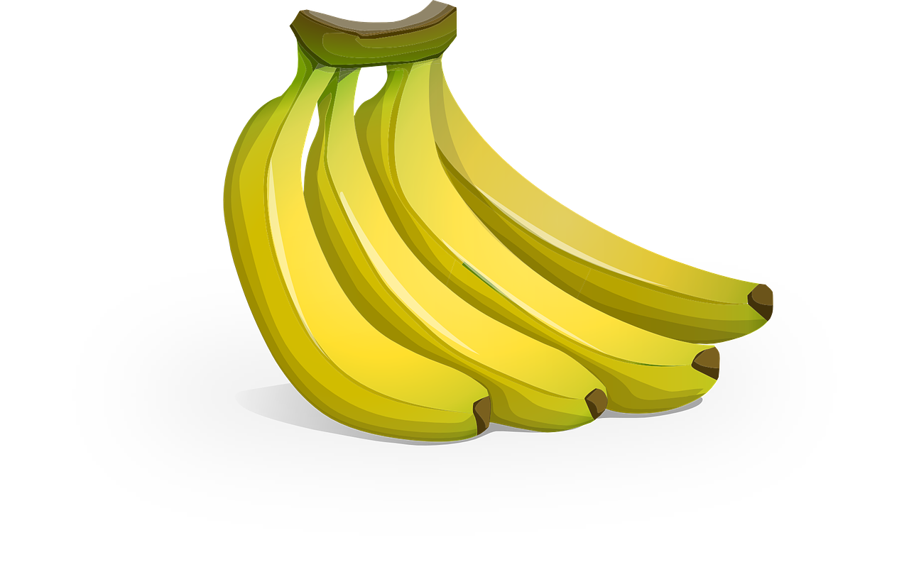 plan nutrición Xàtiva